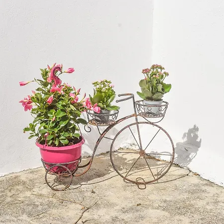 Ktima House * Skiathos stad